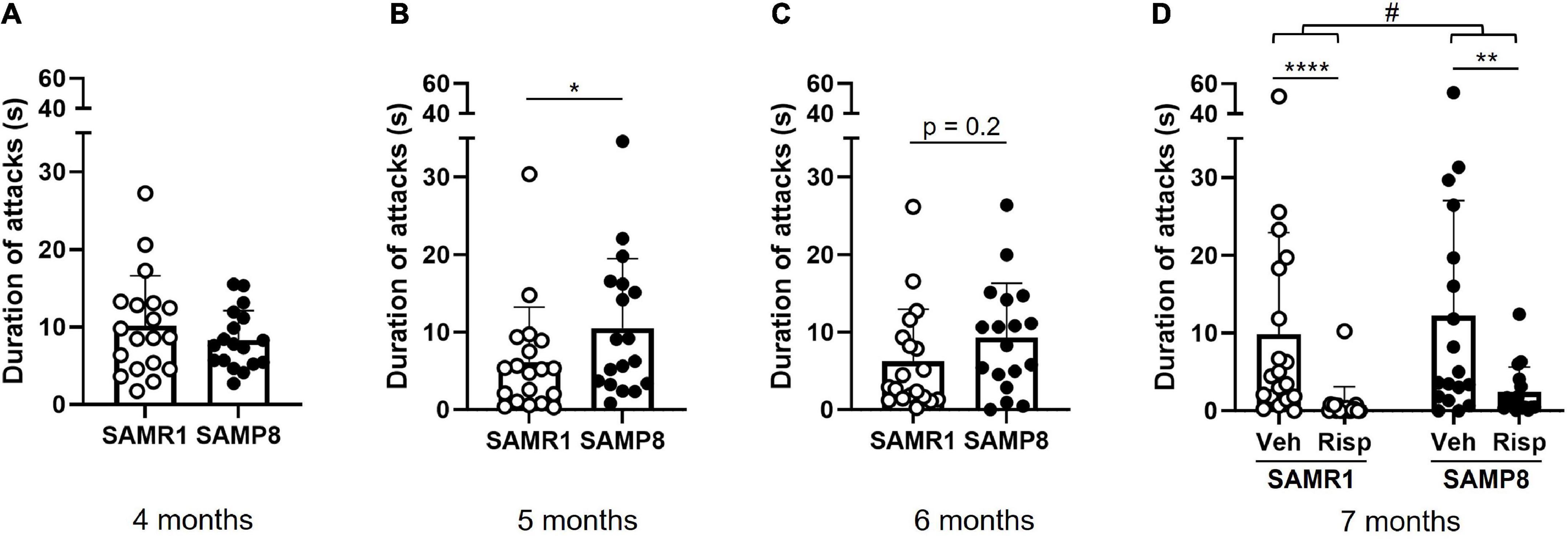 Probing the relevance of the accelerated aging mouse line SAMP8 as a model for certain types of neuropsychiatric symptoms in dementia